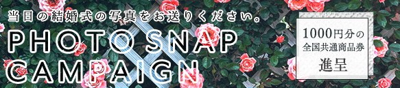 キャンペーン内容|フォトスナップ