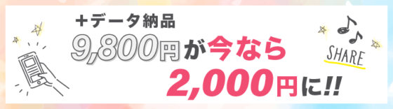 『データ納品』9,800円が今なら2,000円に