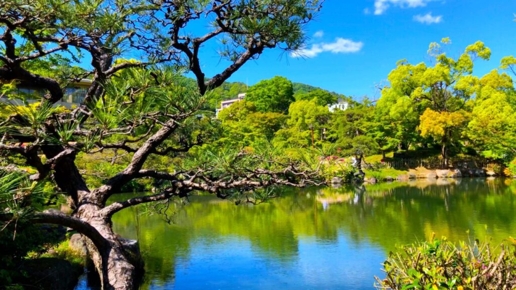 相楽園回遊式庭園