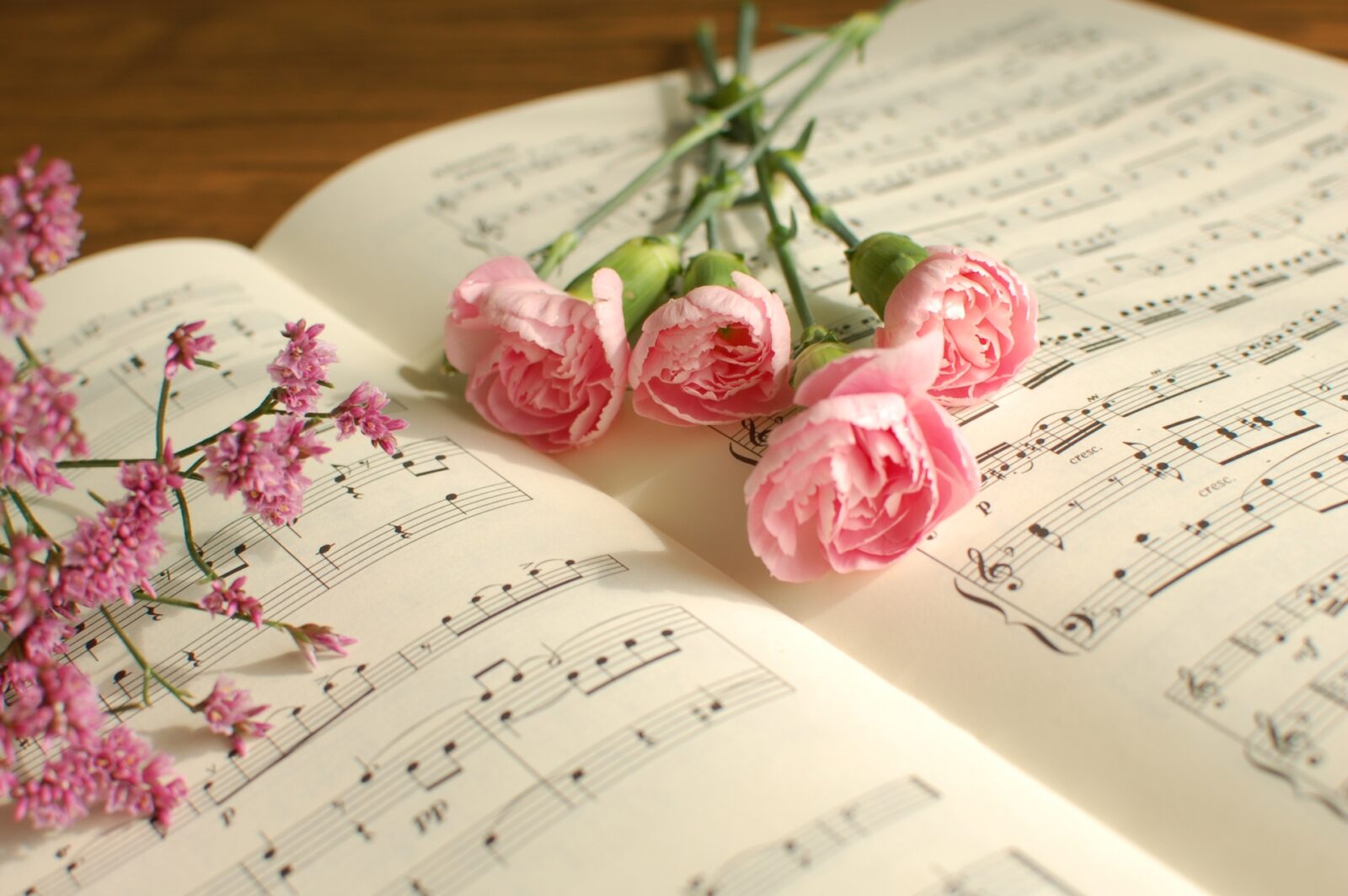 そのムービー大丈夫？結婚式での音楽使用とISUM申請の基本ルールのイメージ